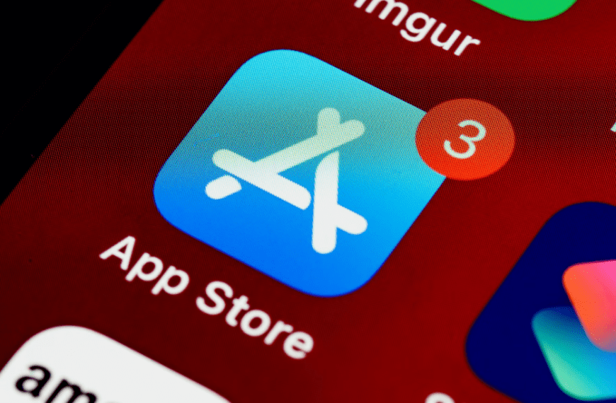 Adult Sex App in Public School Library Book Endorsed by Teachers Unions